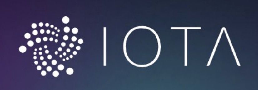 IoT系で大人気のIOTAを購入！仮想通貨×IoTで革命を起こすか!?次のブレイクに備えて突っ込んでおきます。