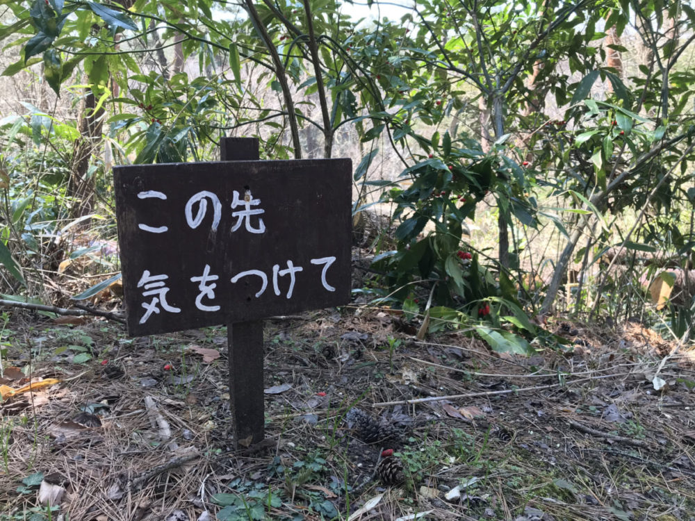 情報発信ビジネスをしていく際の注意点
