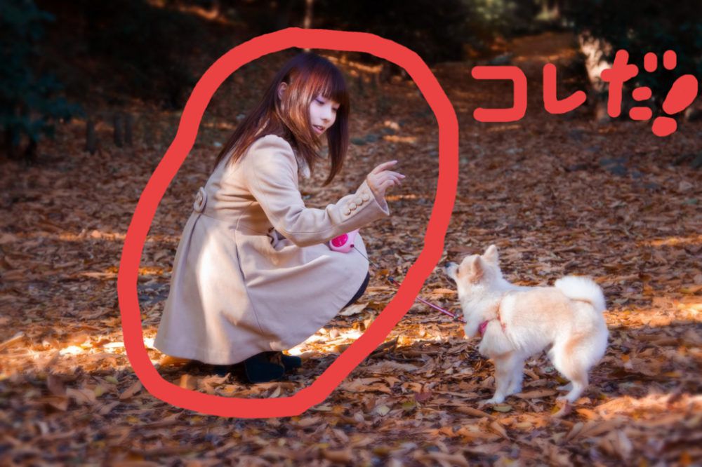 f:id:bun1125:20161026000847j:plain